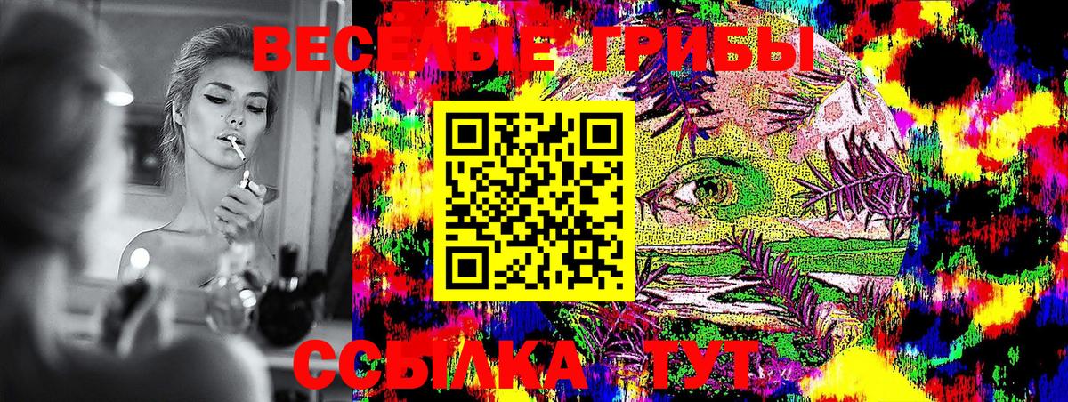 Галлюциногенные грибы Cubensis  Вход с VPN  Кашира 